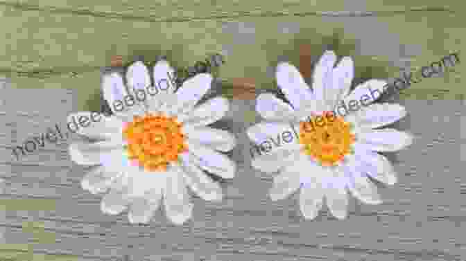 A Beautiful Crochet Daisy With Intricate Petals And A Beaded Center Flowers Pattern Crochet: Creative And Stunning Ideas To Crochet Flowers With Your Style