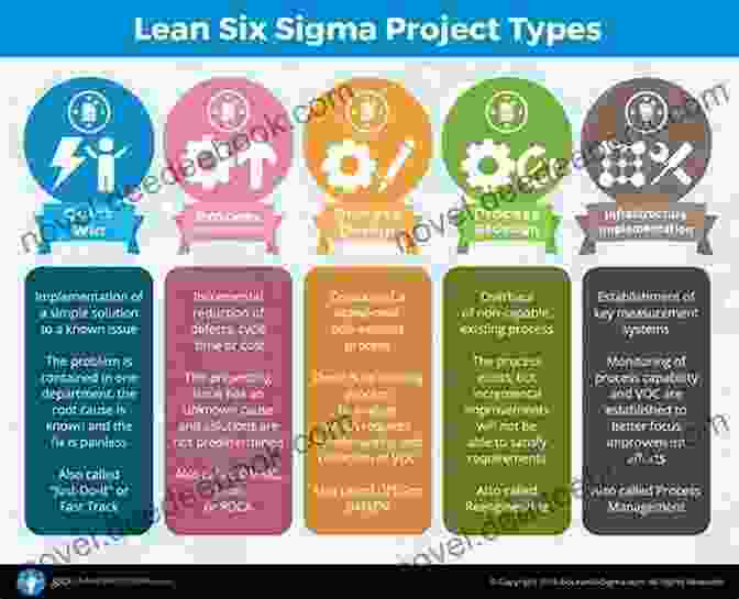 A Busy Bee Working On A Lean Six Sigma Project Lean Six Sigma For The Busy Bee: Sharing Six Sigma