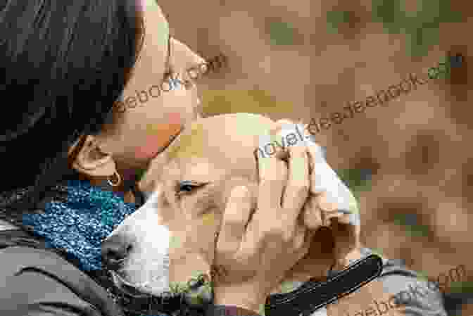A Dog And Its Owner Embracing Paws For Love (Fur Haven Dog Park 3)