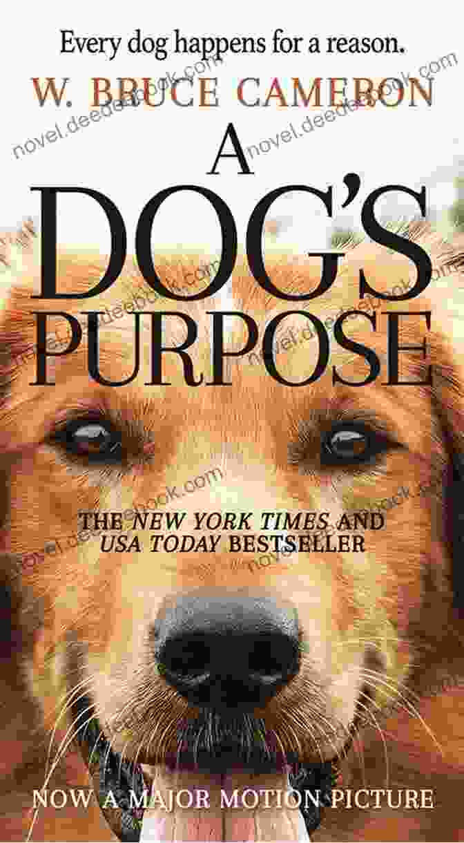 A Dog's Purpose Book Cover Featuring A Dog Looking Up At A Human As The Stars Fall: A Heartwarming Dog Novel (Books For Dog Lovers 1)