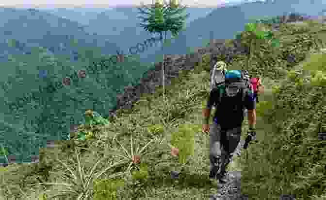 A Group Of Hikers Trekking Through The Colombian Rainforest Travels Through The Interior Provinces Of Colombia Volume 1