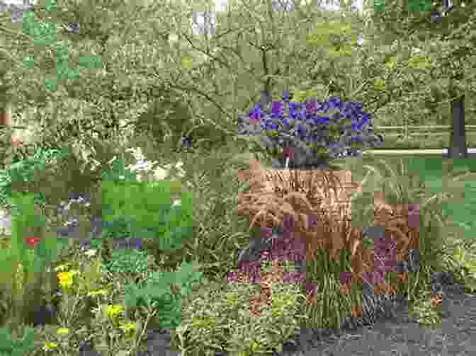 A Riot Of Colors And Textures In The Planting Beds Of Mcmullen Circle Heather Newton Garden McMullen Circle Heather Newton