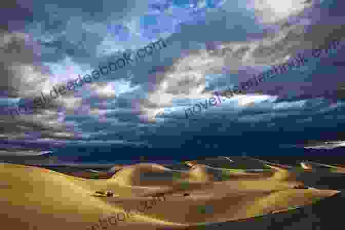 A Vast Desert Landscape With Rolling Sand Dunes Deciphering Geographic Terminologies Water And Land Formations Social Studies Third Grade Non Fiction