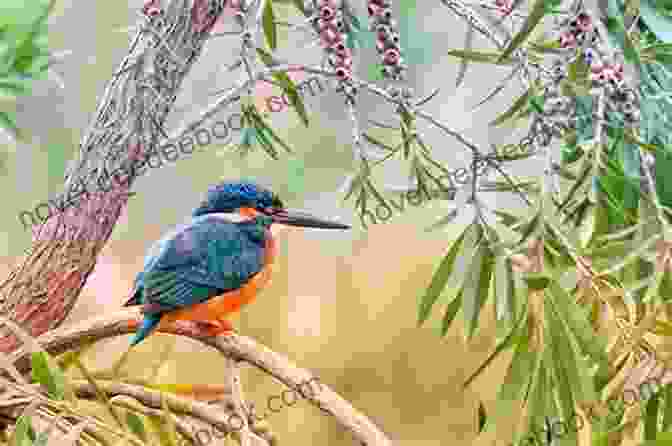 A Vibrant Minor Mage Kingfisher Perched On A Twig, Its Iridescent Plumage Shimmering Like A Thousand Tiny Rainbows. Minor Mage T Kingfisher