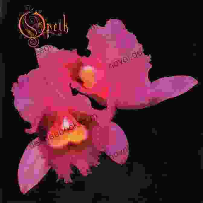 Album Cover Of Opeth's 'Orchid' The Best Of Opeth: 2nd Edition (Guitar Recorded Versions)