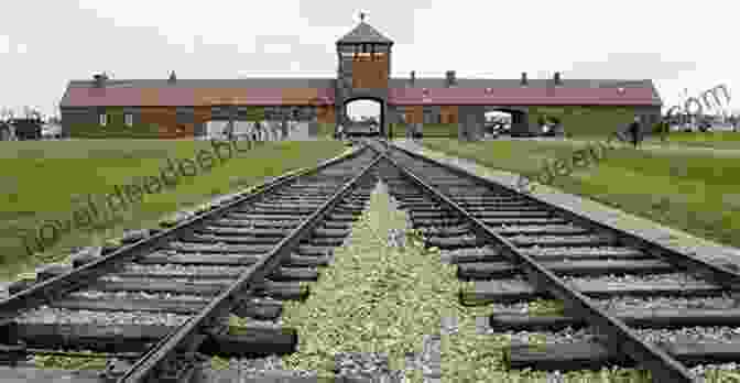 Auschwitz Birkenau Concentration Camp Tomi: Tomi Reichental S Holocaust Story