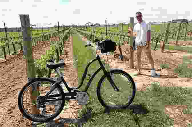 Cyclists Enjoying A Picnic Amidst Vineyards In The Niagara Region Cycling Greater Toronto Niagara Peninsula