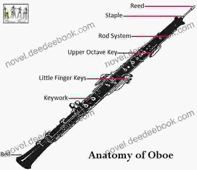 Diagram Of The Oboe Anatomy, Labeling Its Key Components: Body, Reed, Keys, And Bell Student Instrumental Course: Oboe Student Level 1