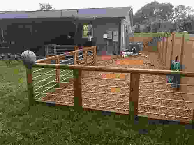 Fenced Play Area For Small And Timid Dogs Paws For Love (Fur Haven Dog Park 3)