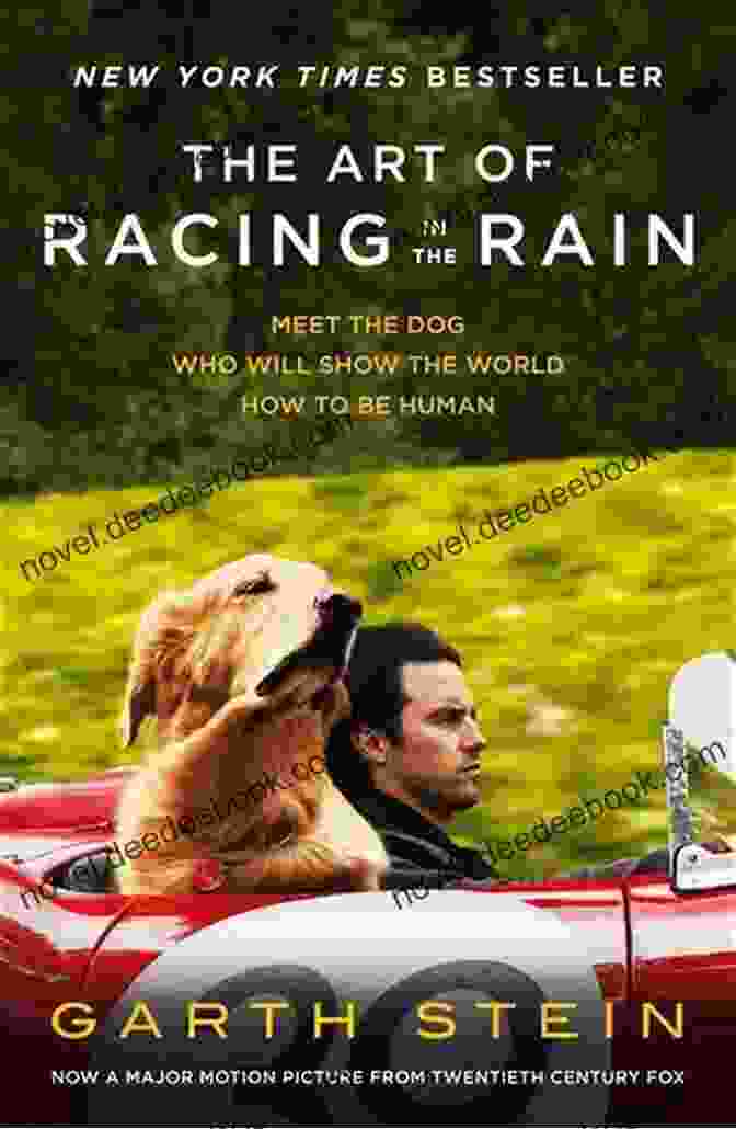 The Art Of Racing In The Rain Book Cover Featuring A Golden Retriever And A Race Car As The Stars Fall: A Heartwarming Dog Novel (Books For Dog Lovers 1)