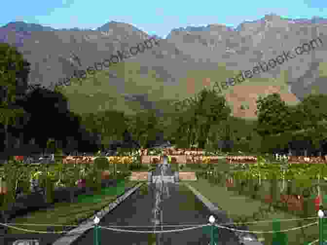 The Terraced Gardens Of Nishat Bagh, One Of The Mughal Gardens In Srinagar 20 Things To Do In Srinagar (20 Things (Discover India) 5)
