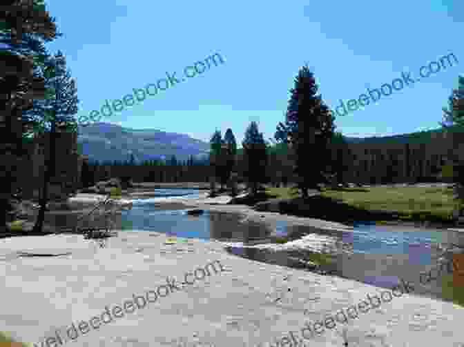 Tuolumne Meadows Loop Trail Best Easy Day Hikes Northern Sierra (Best Easy Day Hikes Series)