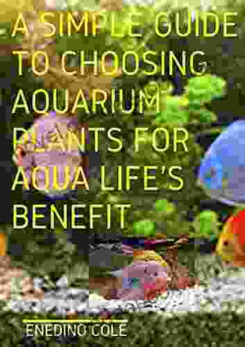 A Simple Guide To Choosing Aquarium Plants For Aqua Life S Benefit