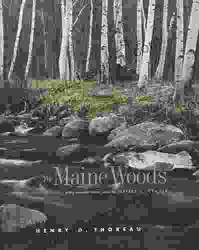 The Maine Woods Jeffrey S Cramer