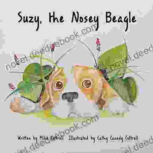 Suzy The Nosey Beagle William O Brien