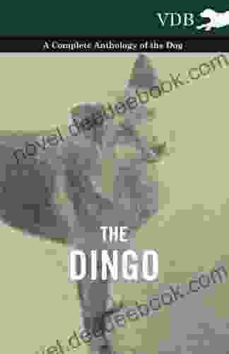 The Dingo A Complete Anthology Of The Dog
